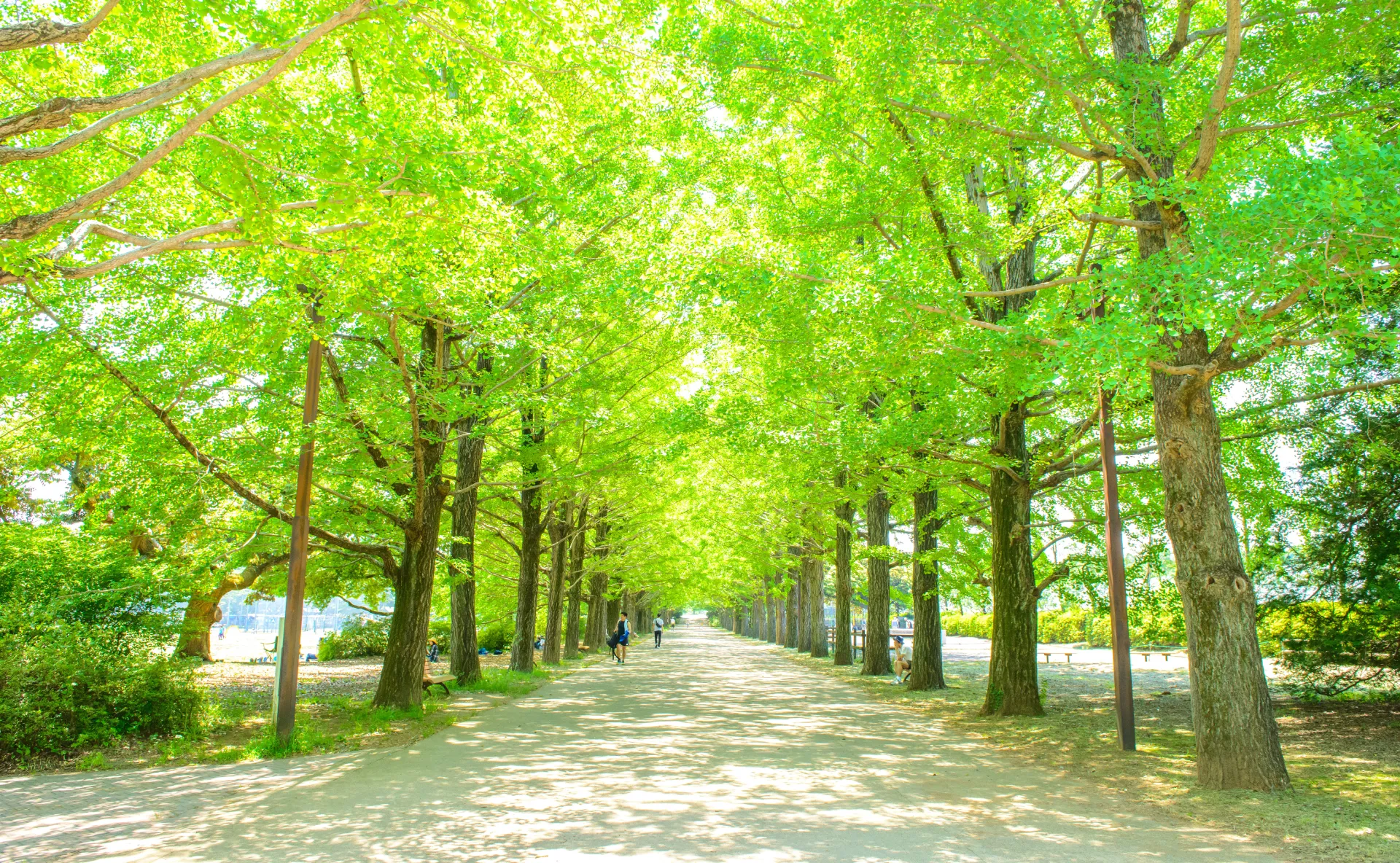 自立学習への取り組みを積み重ねてきた教育活動の実践記録